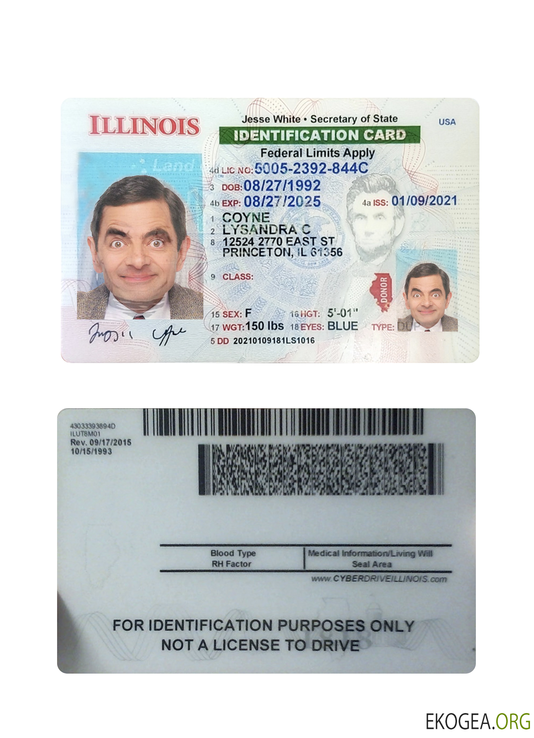 Carte d'identité de l'Illinois aux États Unis